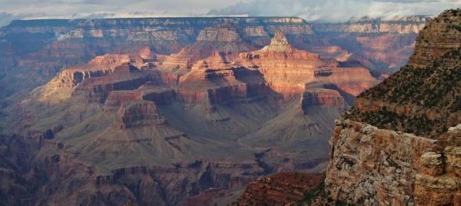 Grand Canyon: Warnung vor Wildtieren