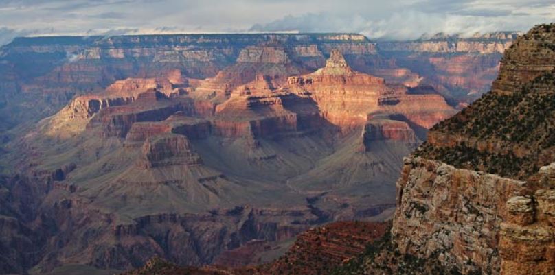 Grand Canyon: Warnung vor Wildtieren
