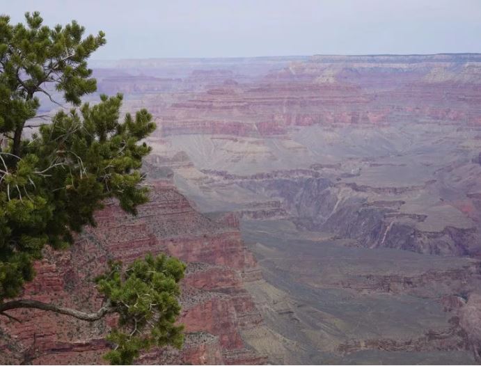 Grand Canyon: Der erneute Abbau von Uran ist eine unzumutbare Bedrohung