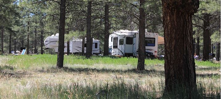 Grand Canyon: Kaibab Forest Camping